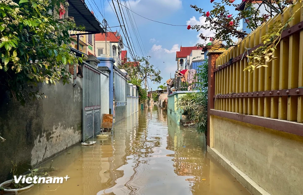Trên địa bàn thành phố Hà Nội hiện vẫn còn 1.503 nhà bị ngập do mưa lũ sau bão số 11. (Ảnh: Bảo Ngọc/Vietnam+)