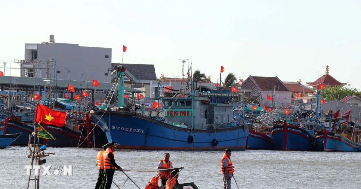 Hơn 4.100 tàu cá trên 6m của Quảng Ninh được quản lý trên hệ thống VNFishbase