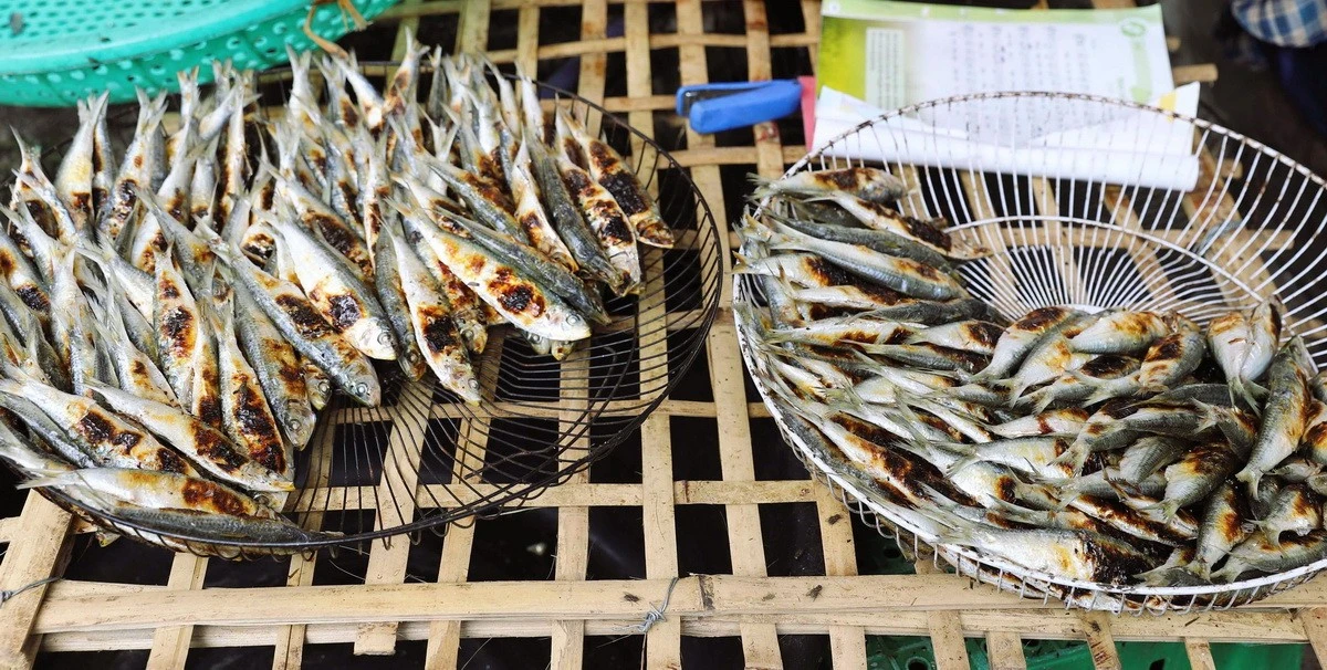 Cá trích biển Diễn Châu: Ngon và độc đáo | Vietnam+ (VietnamPlus)