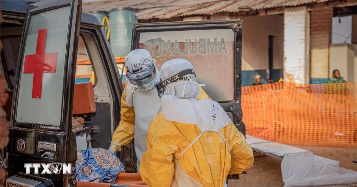 Dịch Ebola: WHO cảnh báo 80% ca bệnh không rõ nguồn lây