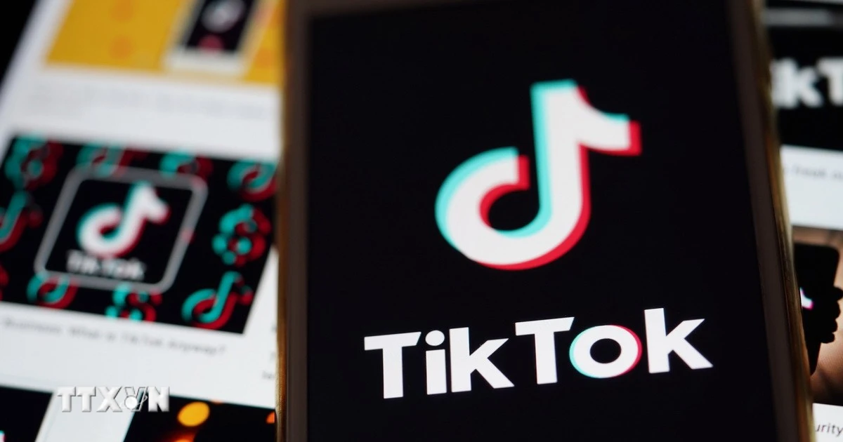 Biểu tượng TikTok trên màn hình điện thoại di động. (Ảnh: THX/TTXVN) 