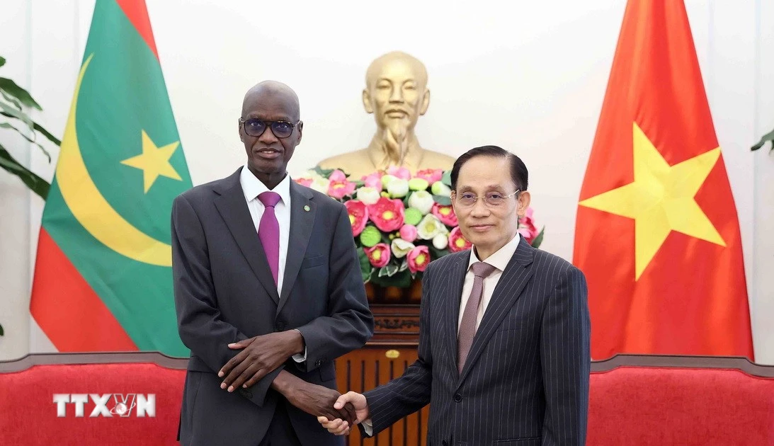 Việt Nam thúc đẩy hợp tác thực chất với Mauritania và các nước châu Phi