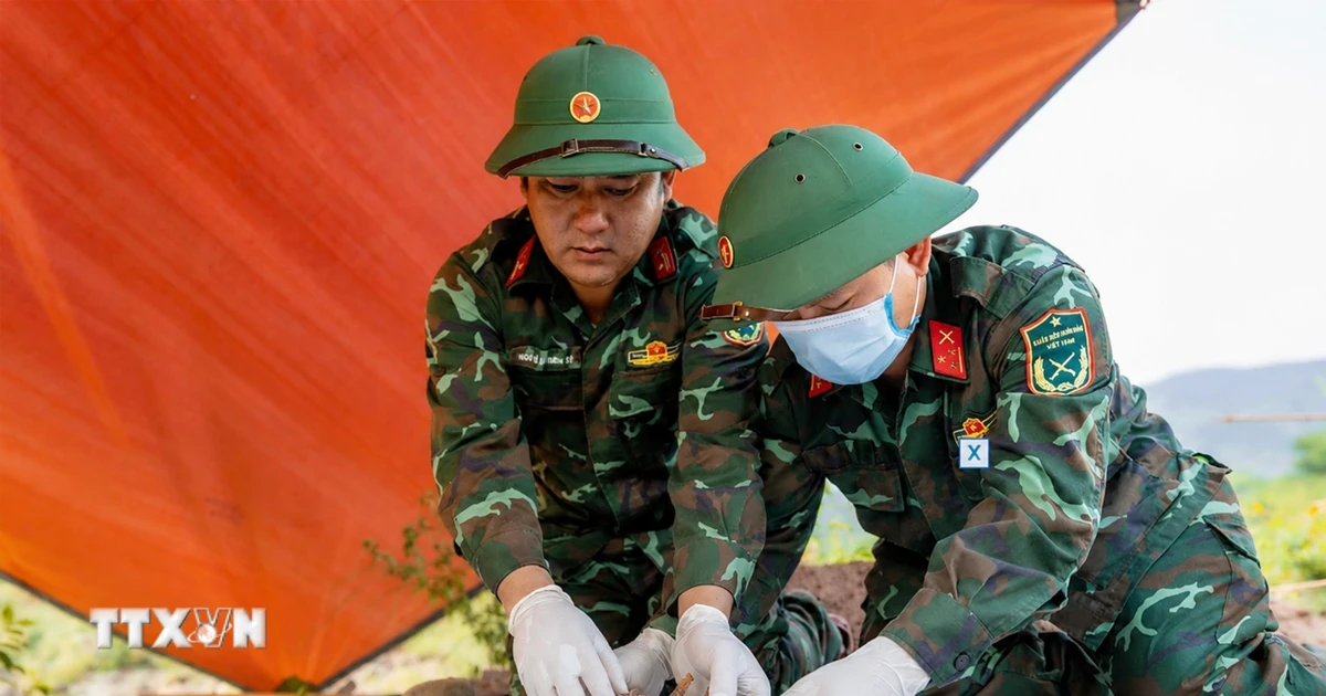 ADN mở lối cho những cuộc đoàn tụ sau hơn nửa thế kỷ