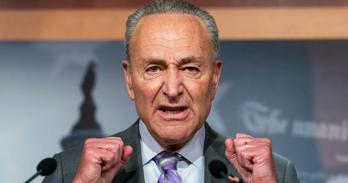 Ông Charles Schumer trở thành lãnh đạo phe đa số tại Thượng viện Mỹ |  Vietnam+ (VietnamPlus)