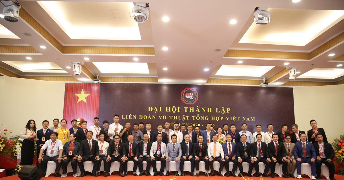 Liên đoàn Võ thuật tổng hợp Việt Nam (VMMAF)