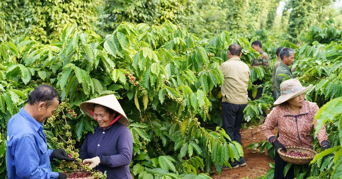 ‘Chìa khóa’ hướng tới mục tiêu đưa mức phát thải ròng về bằng 0 ...