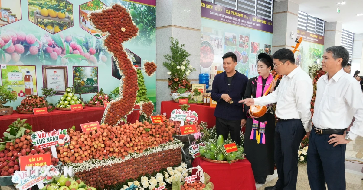 Vận hành hệ thống truy xuất nguồn gốc: Nền tảng số cho nông sản Việt vươn