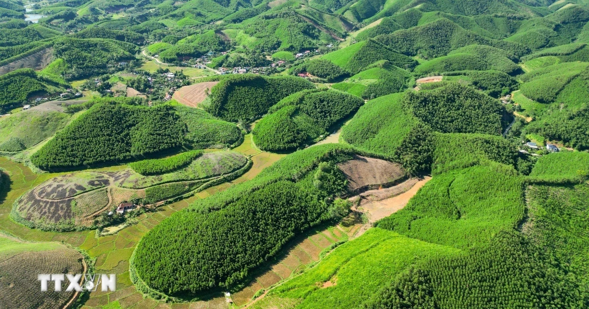 Phát triển nông nghiệp xanh: Khơi thông chuỗi giá trị, nâng tầm nông sản chủ lực