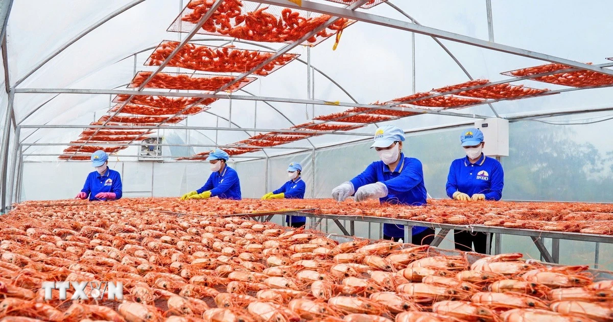 Cà Mau nâng tầm đặc sản bản địa bằng đổi mới sáng tạo và chuyển đổi số