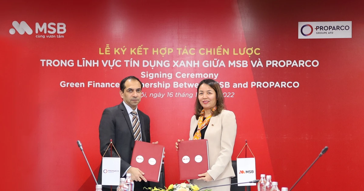Proparco tài trợ 30 triệu USD cho MSB phát triển các dự án xanh ...