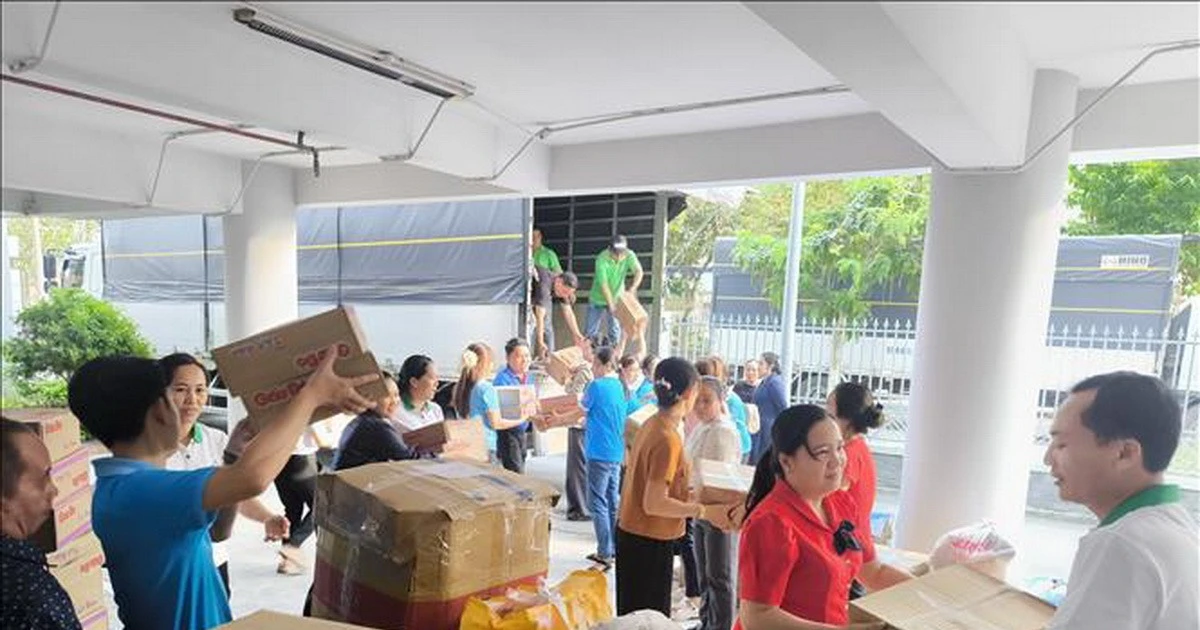 Nhật Bản đóng góp 1,5 triệu đô la Mỹ cứu trợ, phục hồi sau thiên tai ở Việt Nam