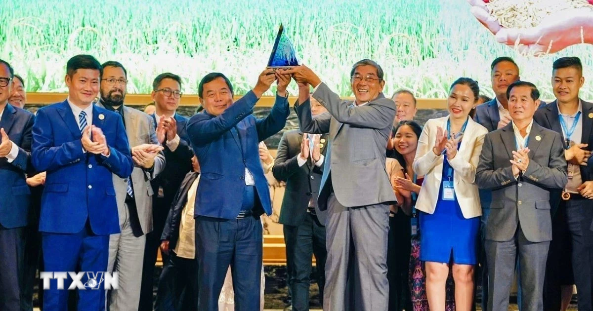 Gạo ST25 của Việt Nam tiếp tục thắng giải gạo ngon nhất thế giới