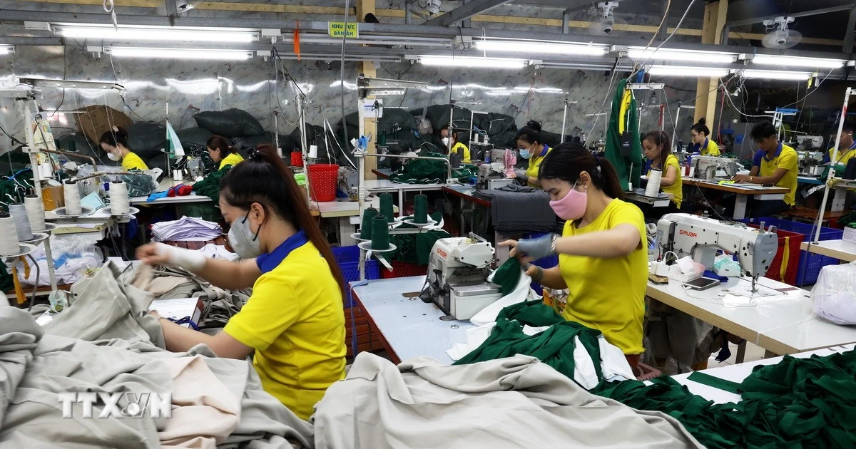 Đại biểu Quốc hội: Cần có cơ sở dữ liệu liên thông để quản lý lao động ở nước ngoài