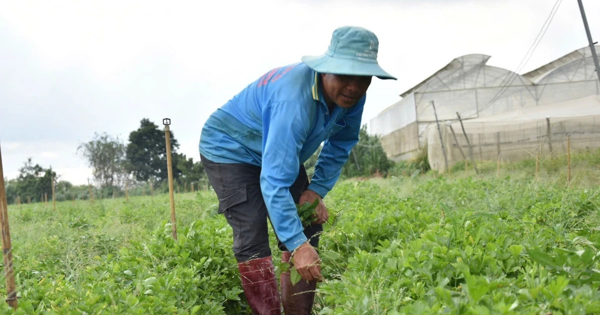 www.vietnamplus.vn
