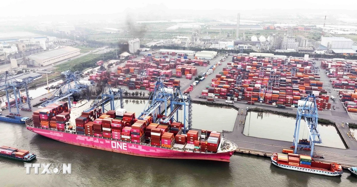 Международный порт Танканг-Каймеп в г. Хошимине. Фото: ВИА