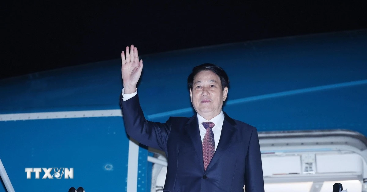 Chủ tịch nước Lương Cường rời sân bay Gimhae, kết thúc tốt đẹp chuyến tham dự Tuần lễ Cấp cao APEC lần thứ 32 và làm việc song phương tại Hàn Quốc. (Ảnh: Lâm Khánh/TTXVN)