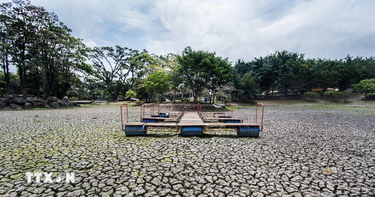El Nino có thể kích hoạt cuộc khủng hoảng giá hàng hóa toàn cầu