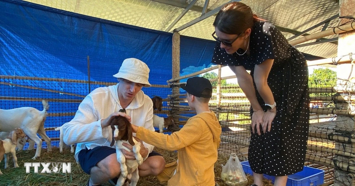 Khánh Hòa xác định chiến lược đưa con tàu du lịch vươn tầm quốc tế - Vietnam+ (VietnamPlus)