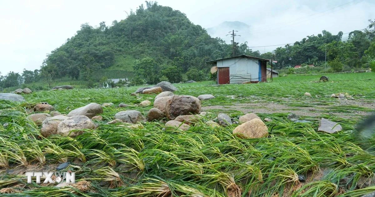 Ban Chỉ đạo Phòng thủ dân sự Quốc gia yêu cầu khẩn trương ứng phó mưa lũ Bắc Bộ