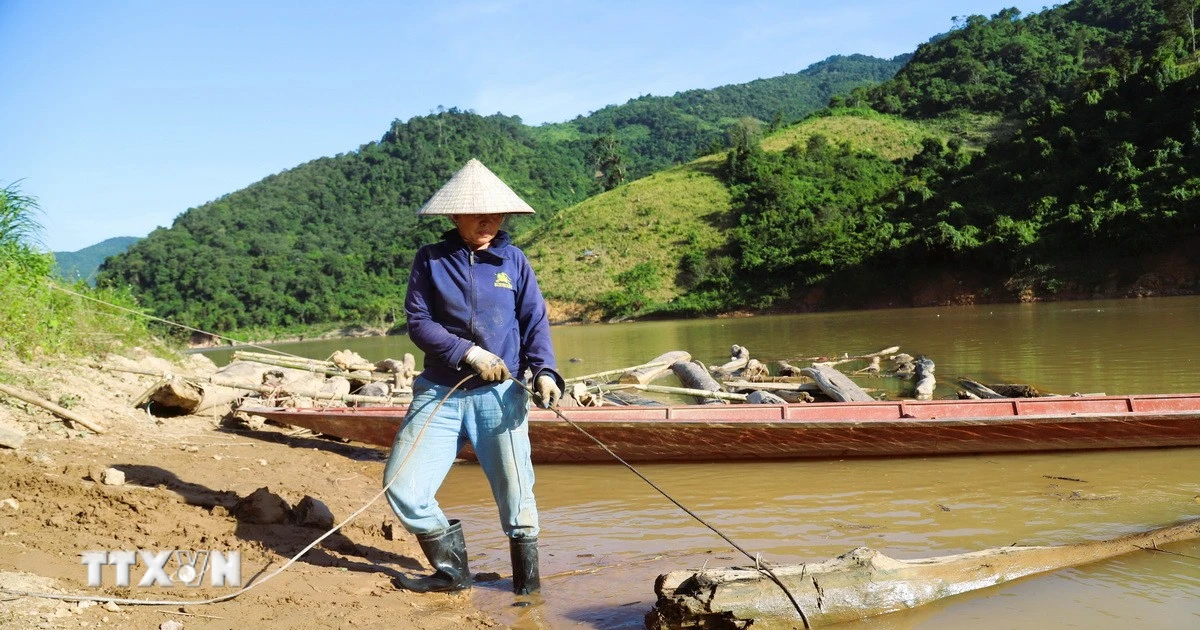 Nghệ An: Hiểm nguy “nghề” vớt gỗ tự phát trên lưu vực sông Nậm Nơn