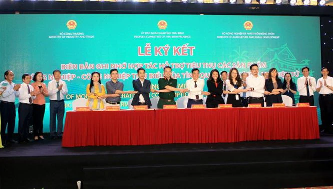 Kết nối cung cầu tiêu thụ sản phẩm nông nghiệp, công nghiệp | Vietnam+ ...