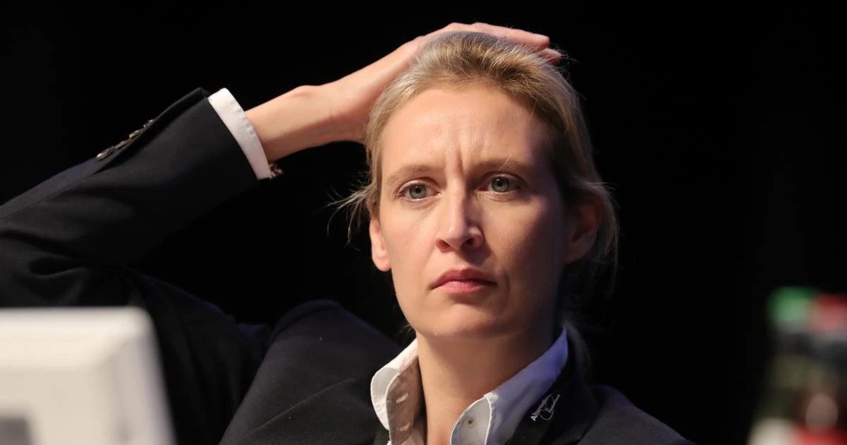 Đức: Đảng cực hữu AfD lần đầu tiên đề cử ứng viên thủ tướng | Vietnam+ (VietnamPlus)