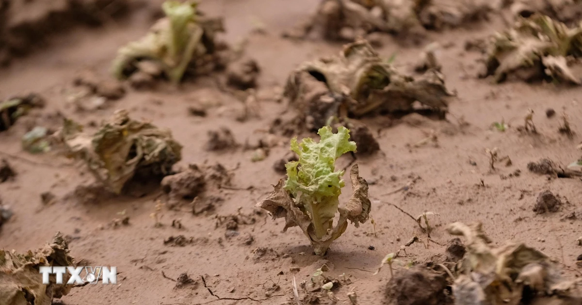 Nghị quyết của Chính phủ về giải pháp khắc phục hậu quả thiên tai ở miền Trung