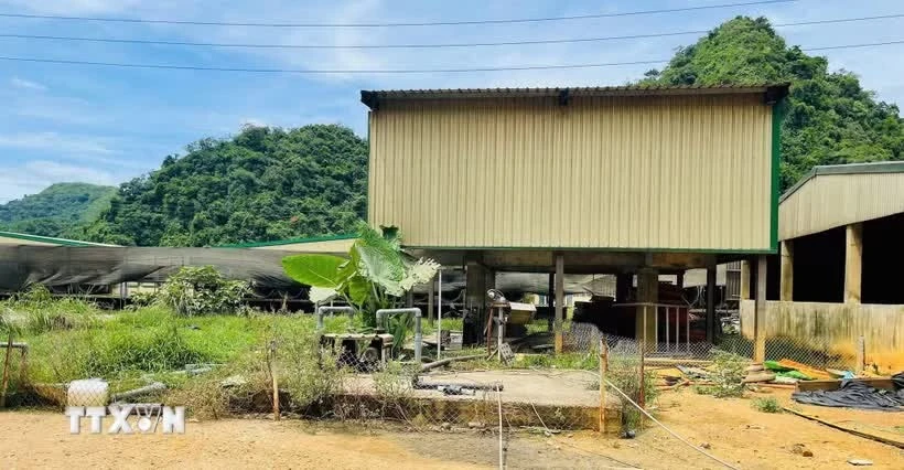 Khẩn trương khắc phục hậu quả vụ tai nạn lao động tại Dabaco Thanh Hóa