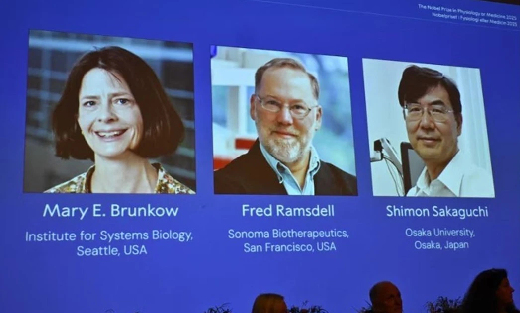 Chân dung các nhà khoa học đoạt giải Nobel Y sinh năm 2025 (từ trái sang): Mary E Brunkow, Fred Ramsdell và Shimon Sakaguchi. (Ảnh: REUTERS/TTXVN)