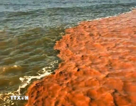 Hiện tượng nước hai màu ở Cà Mau gây xôn xao dư luận.