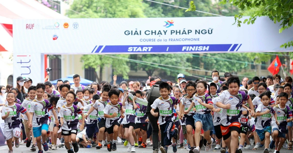 Thể thao Việt Nam năm 2024: Tổng kết một năm bùng nổ với 1.214 huy chương quốc tế