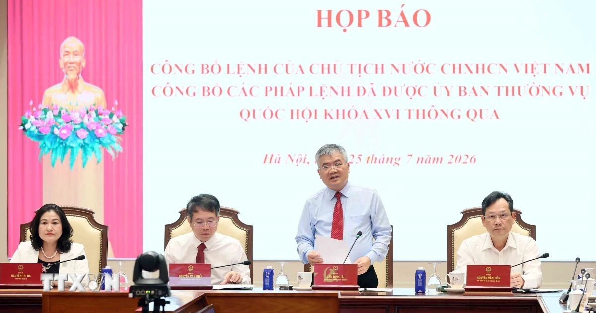 Bài viết