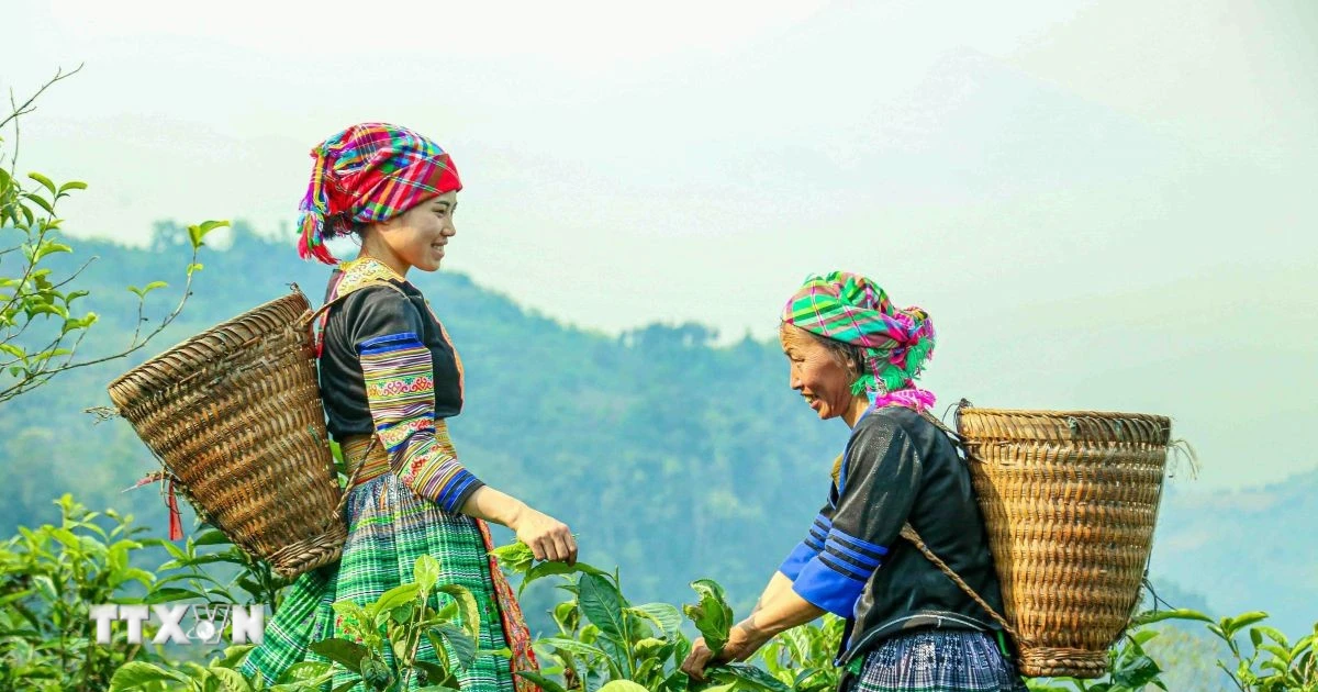 Chương trình công tác của BCĐ Trung ương thực hiện các Chương trình mục tiêu quốc gia
