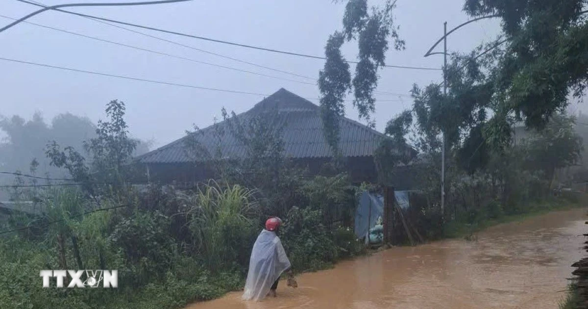 Mưa lớn gây ngập, Lào Cai khẩn trương di dời người dân khỏi khu vực nguy hiểm