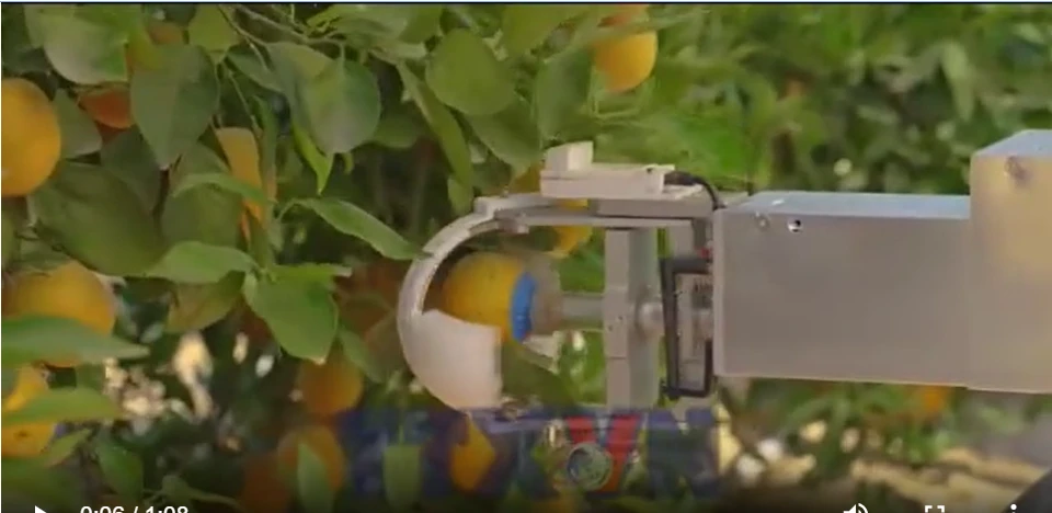 Israel phát triển robot AI thu hoạch hoa quả