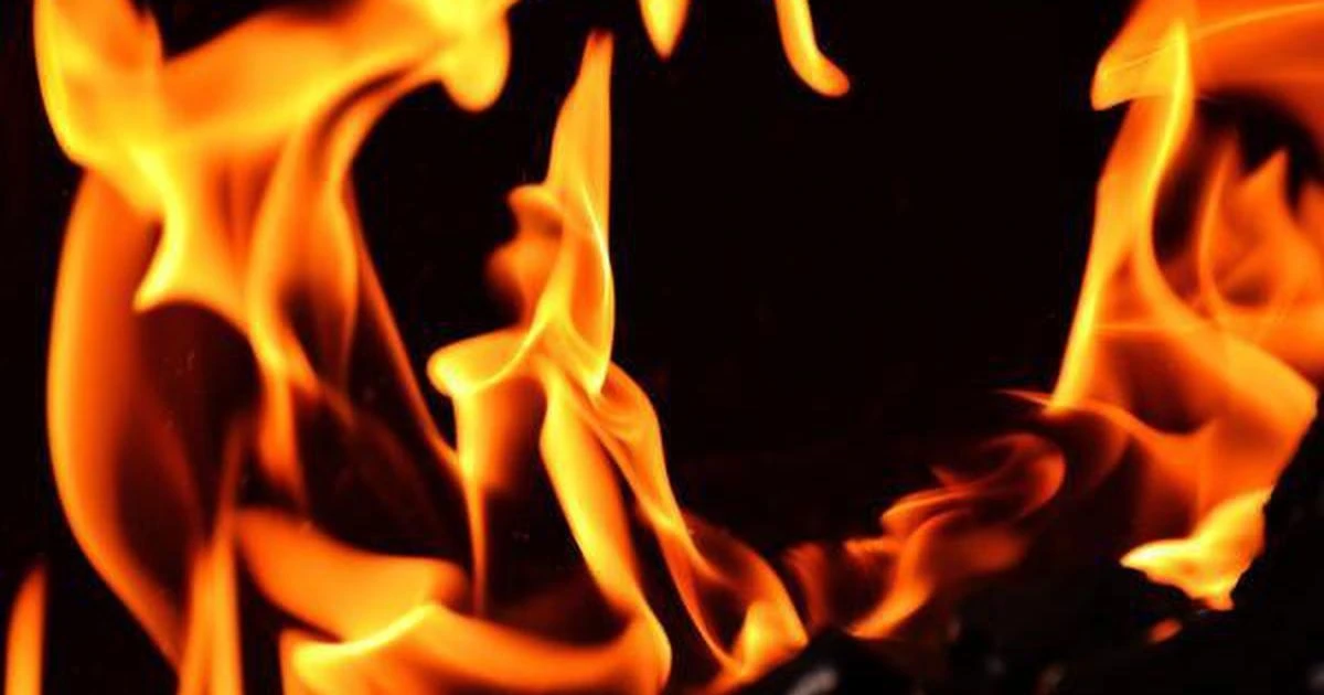 Ảnh minh họa. (Nguồn: thehindu)