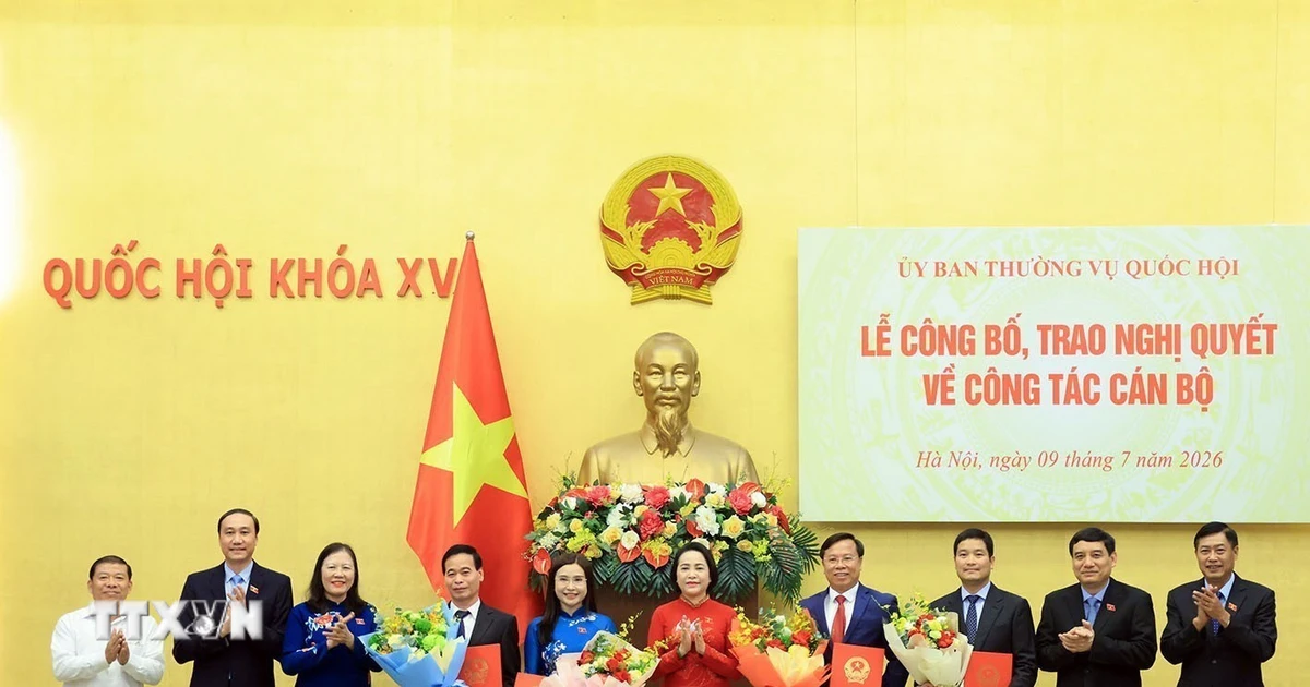 Công bố, trao Nghị quyết của Ủy ban Thường vụ Quốc hội về công tác cán bộ