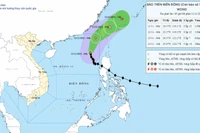 Hướng đi của bão số 14. (Nguồn: Trung tâm Khí tượng Thủy văn Quốc gia)