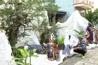 Ninh Bình lung linh chào đón Giáng sinh