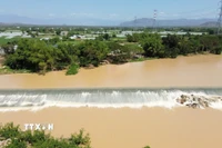 Đập Nha Trinh xây dựng trên sông Cái Phan Rang (xã Mỹ Sơn, Khánh Hòa) thể hiện tư duy “dẫn thủy nhập điền” độc đáo của người Chăm xưa. (Ảnh: Nguyễn Thành/TTXVN)