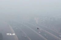 Ô nhiễm không khí nghiêm trọng tại thủ đô New Delhi, Ấn Độ ngày 14/12. (Ảnh: ANI/TTXVN)