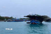 (Ảnh minh họa: TTXVN phát)