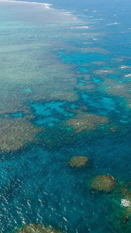 Rạn san hô Great Barrier tại Queensland, Australia. (Ảnh: THX/TTXVN)