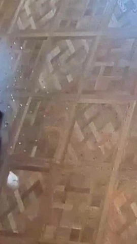 Người đội mũ trùm đầu màu đen và mặc áo phản quang vàng trong vụ trộm. (Ảnh: TF1)