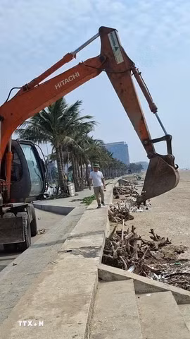 Rác, cành cây, gốc cây được thu gom thành từng đống, sau đó các xe chuyên dụng vận chuyển đi xử lý. (Ảnh: Hoa Mai/TTXVN)