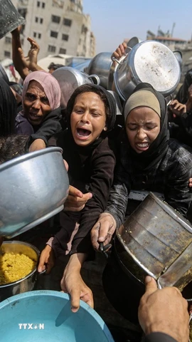 Người tị nạn Palestine nhận thức ăn cứu trợ tại thành phố Gaza, ngày 10/8. (Ảnh: THX/TTXVN)