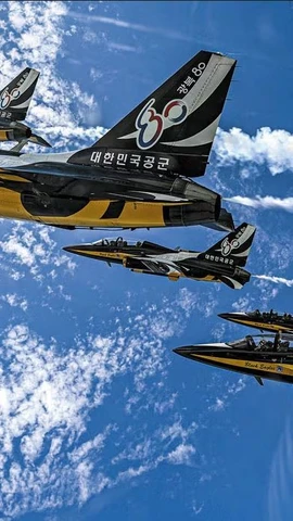 Đội bay biểu diễn Black Eagles. (Ảnh: Air Force)