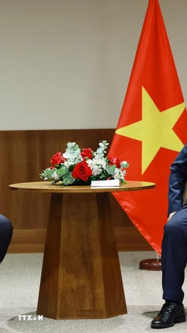 Thủ tướng Phạm Minh Chính tiếp lãnh đạo Tập đoàn khai thác khoáng sản Vale. (Ảnh: Dương Giang/TTXVN)