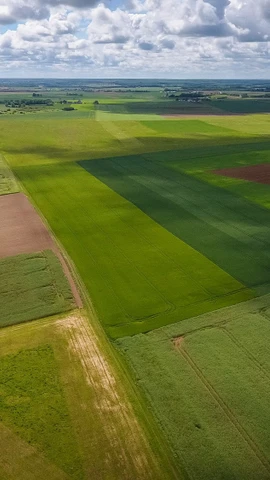 (Ảnh minh họa. Nguồn: AFP/Getty Images)