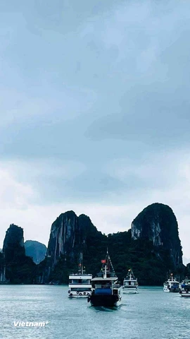 Tàu du lịch trên vịnh Hạ Long. (Ảnh: Vietnam+)